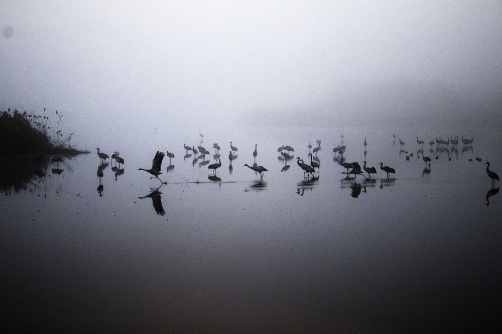 Photograph by Ирина Костенко