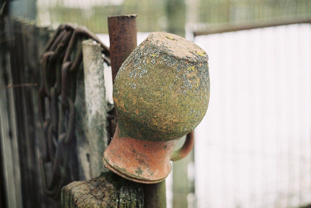 Photograph by Андрей