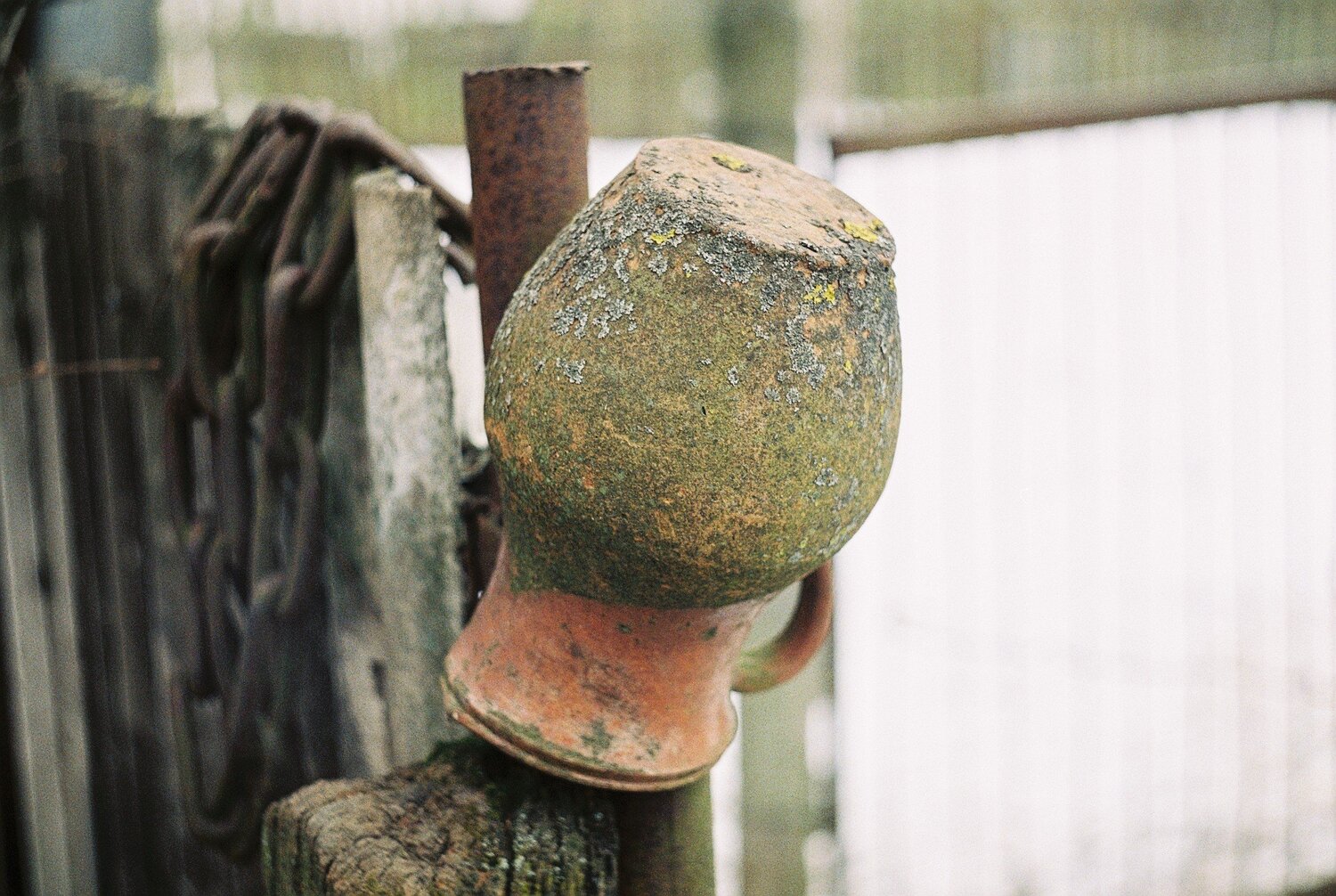 Photo #2156153