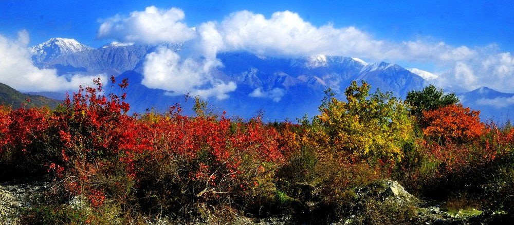 яркие краски "слоеного пирога"