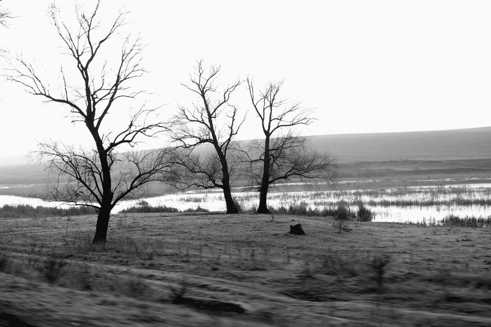 Photograph by Covrijin Ghennadi