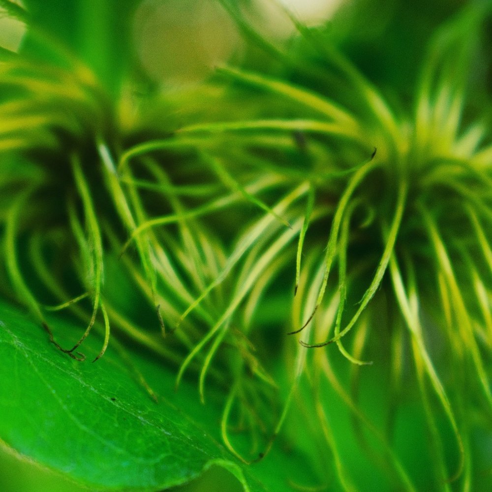 Чудесный климатис