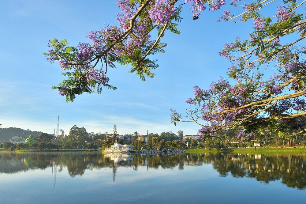 Beauty comes from simplicity