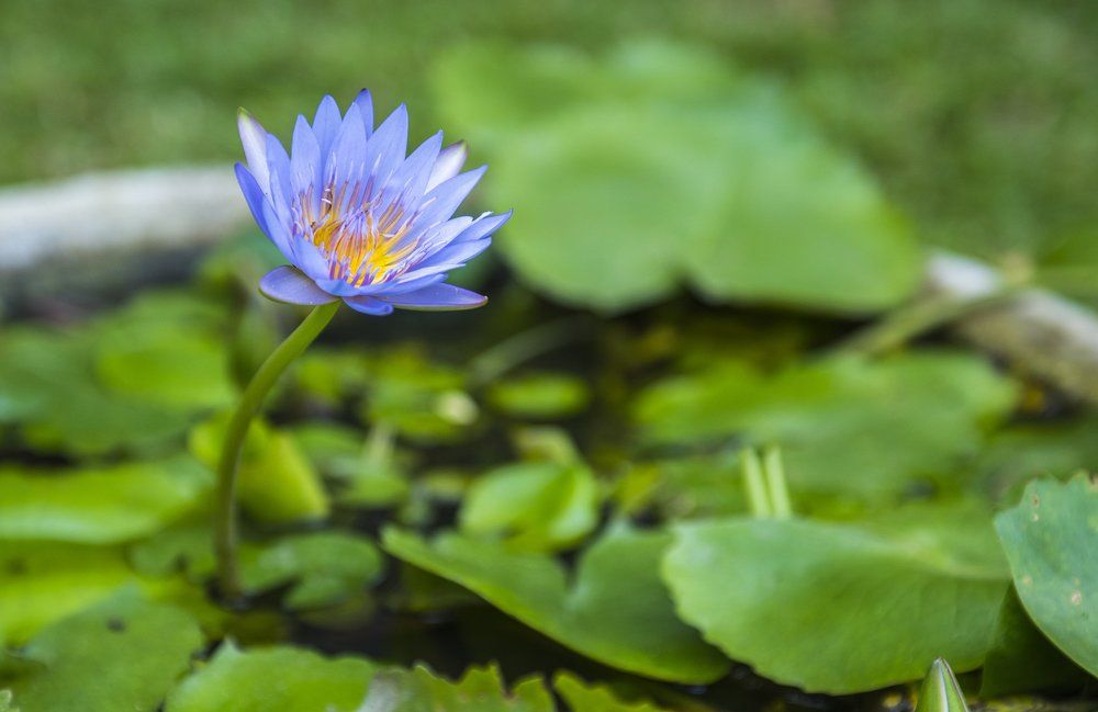 Photograph by Павел Крылов