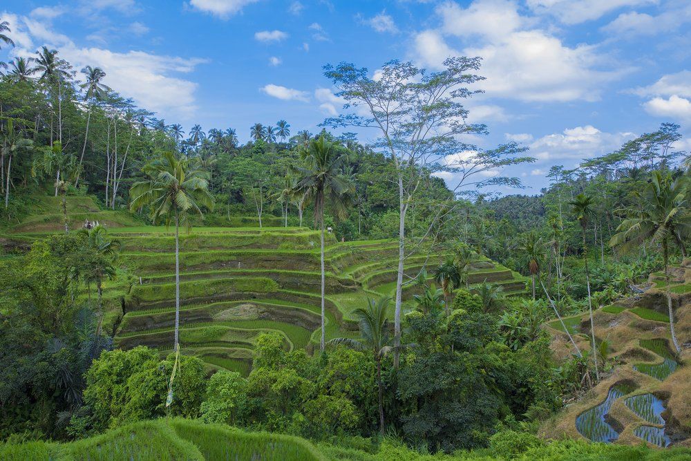 Photograph by Павел Крылов