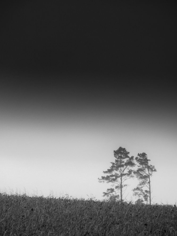 Photograph by Анатолий Мироненко