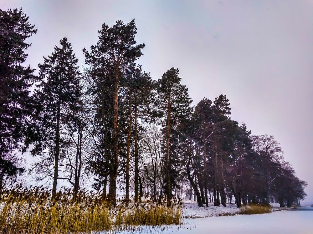 Уникальные моменты