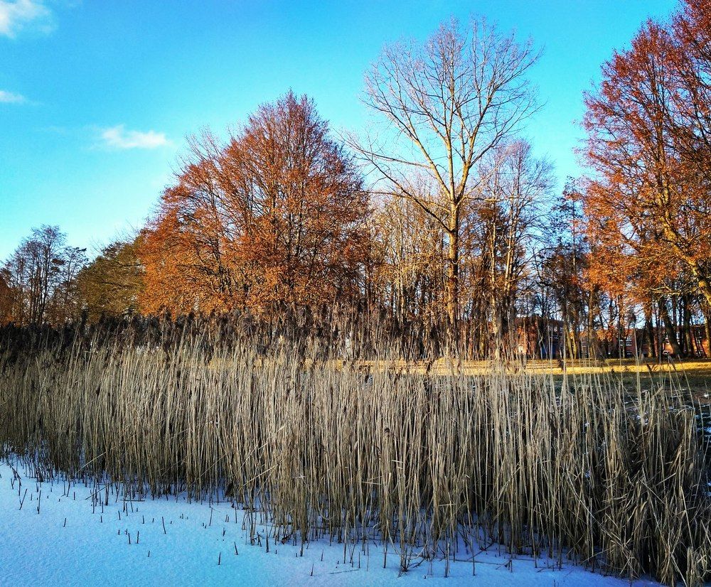 Уникальные моменты