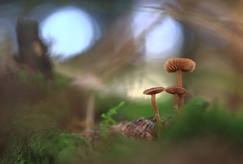 Я слежу за вами.