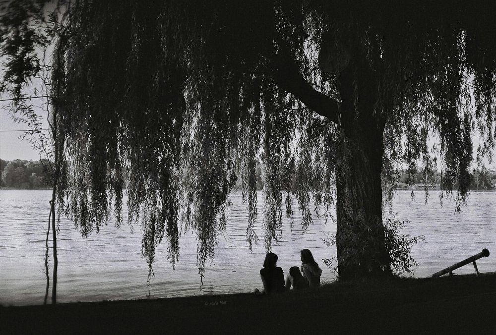 Reflection of friendship