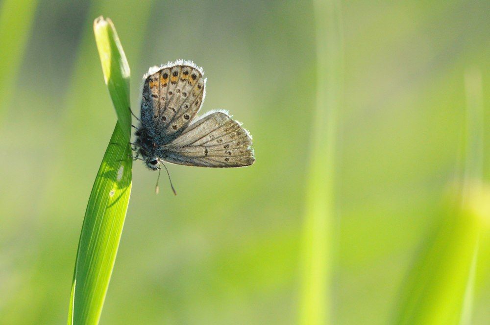 Маленькая жизнь.