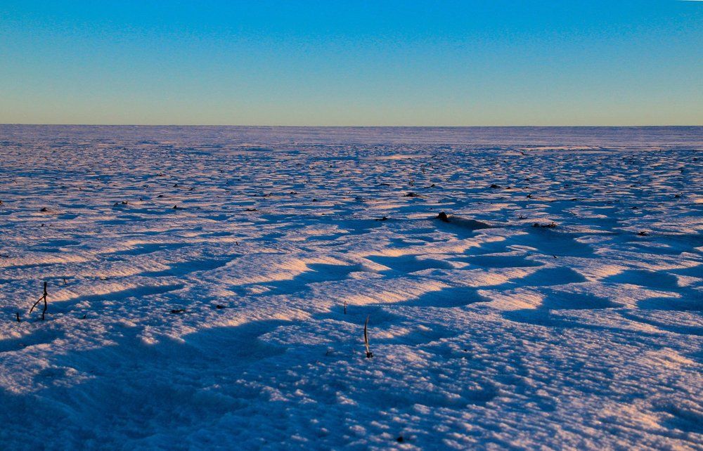 Снежное безмолвие