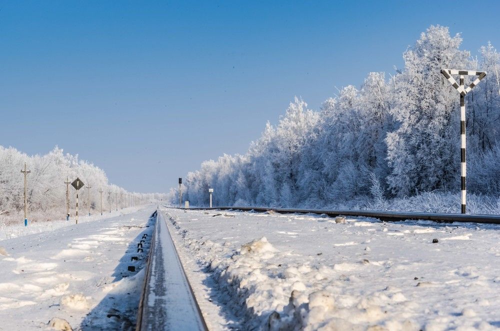 дорога в доль