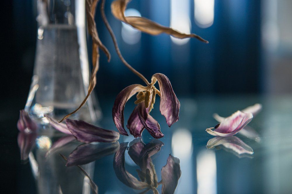 Photograph by Юлия Ла