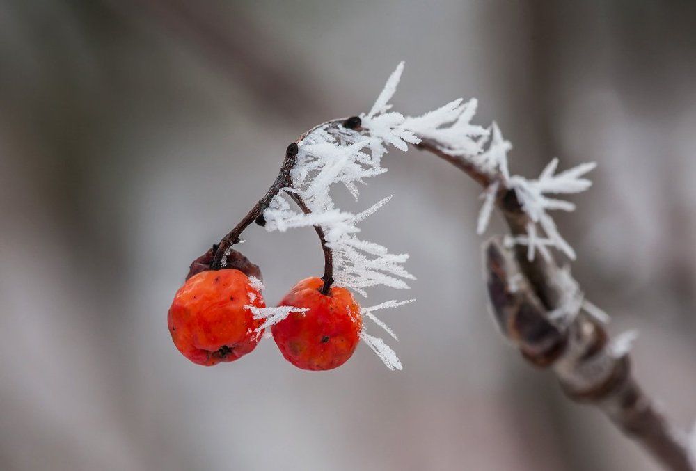Направление ветра