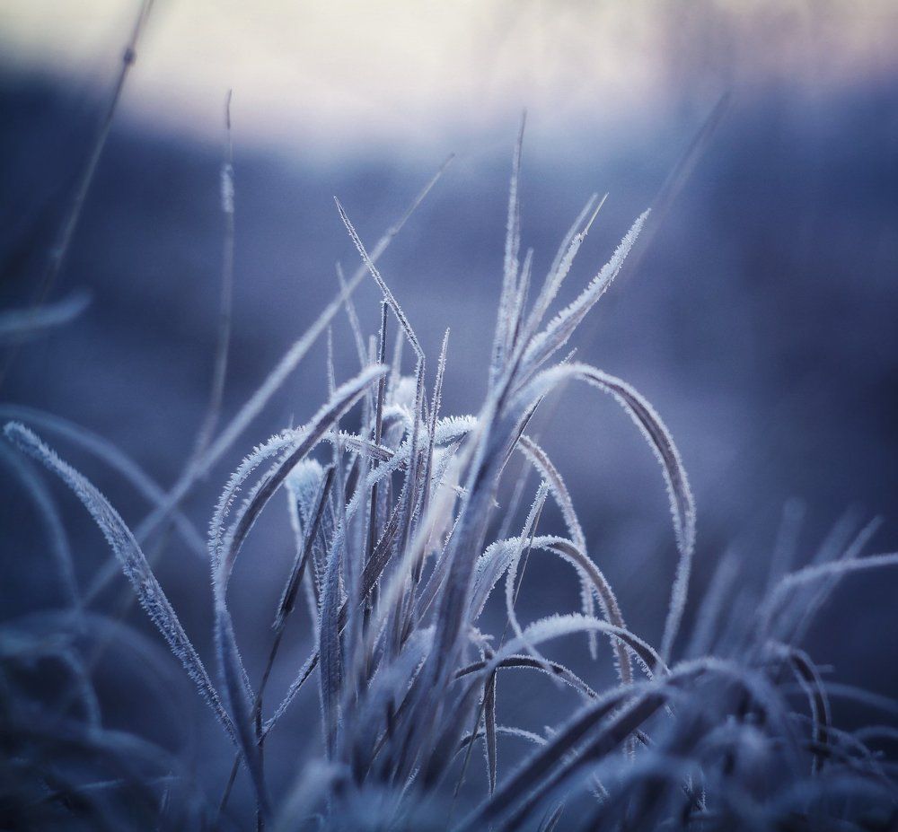 ускользающая хрупкость