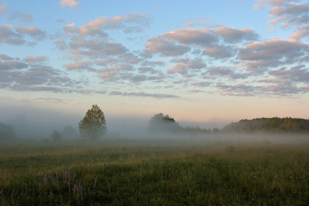 Photograph by Качанов Вадим