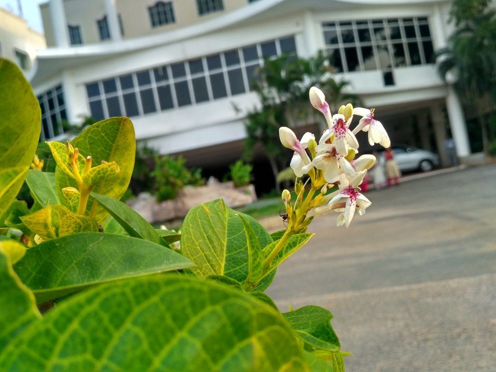 Muthayammal Engineering College