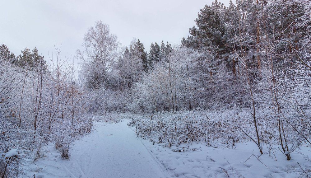 зимняя дорога