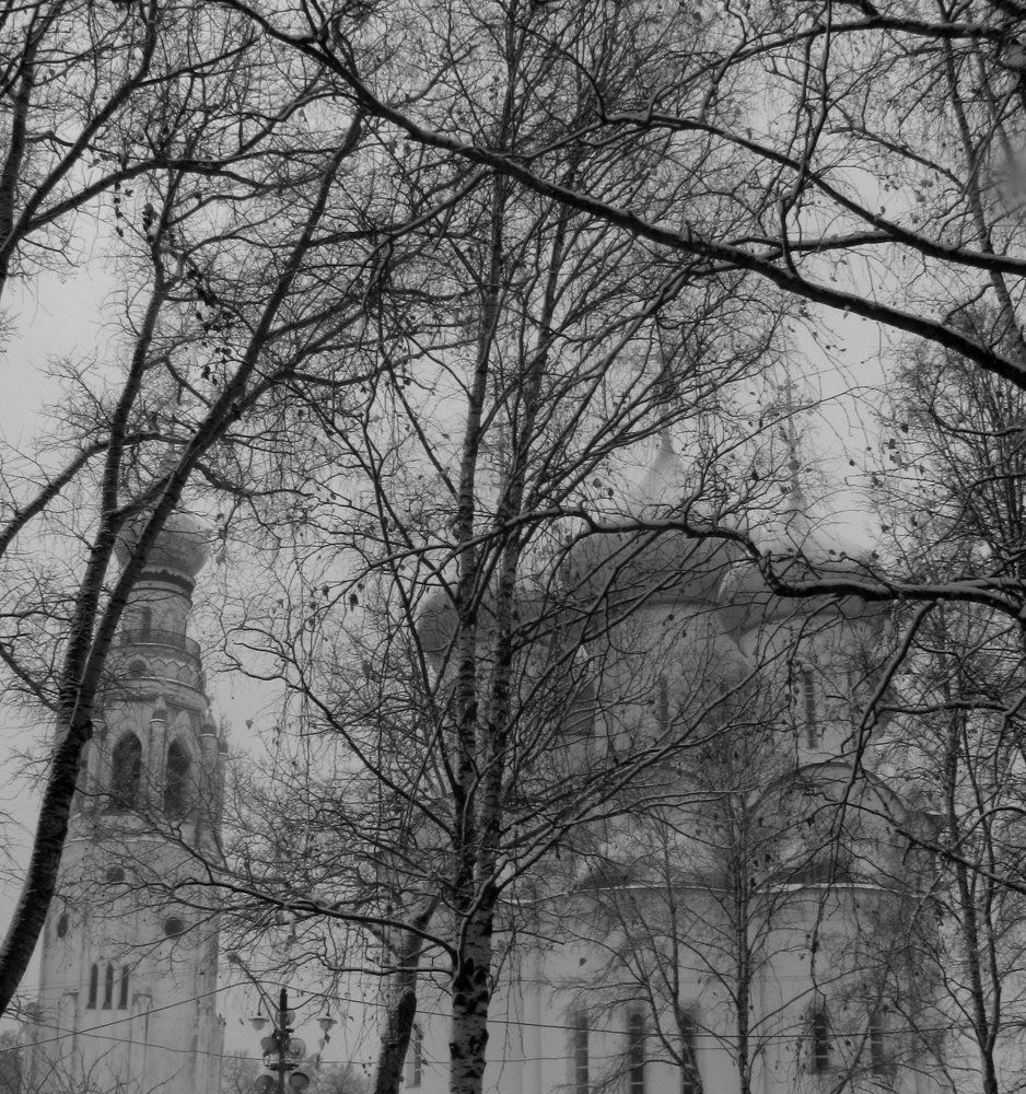 Photo #2157736