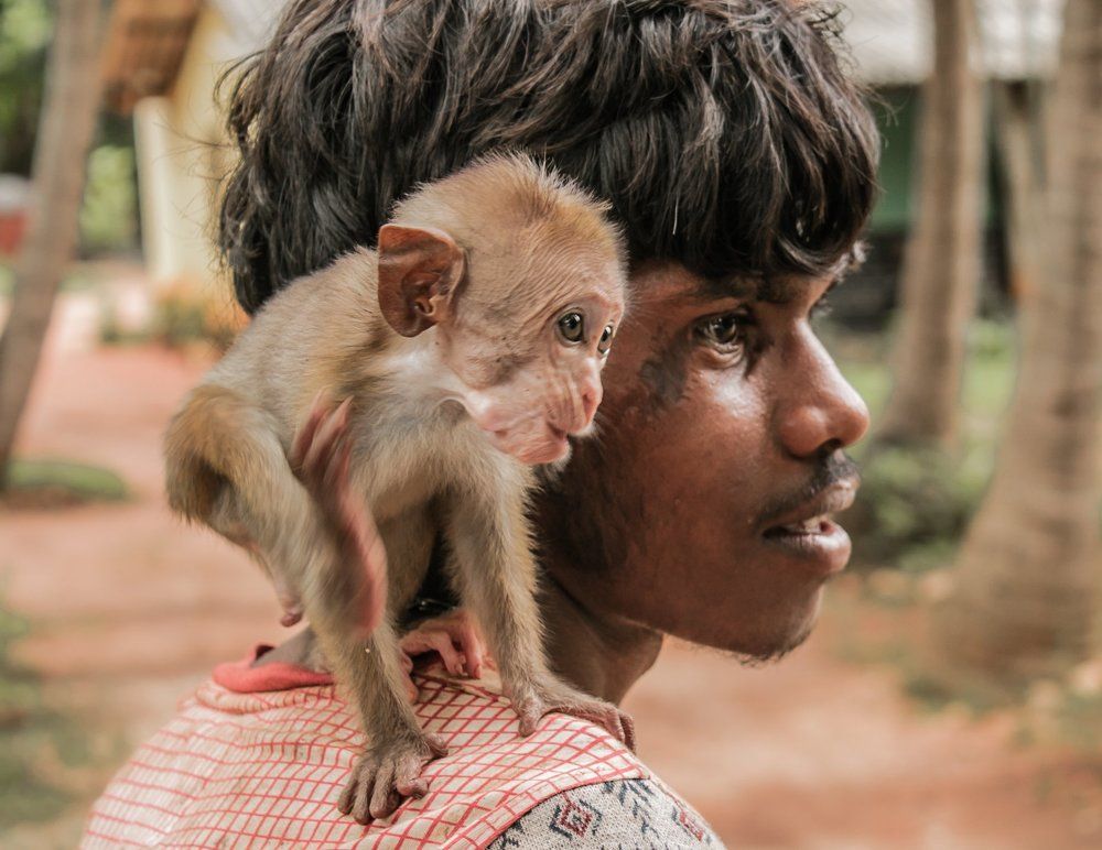 Not a luxury ... just sensations