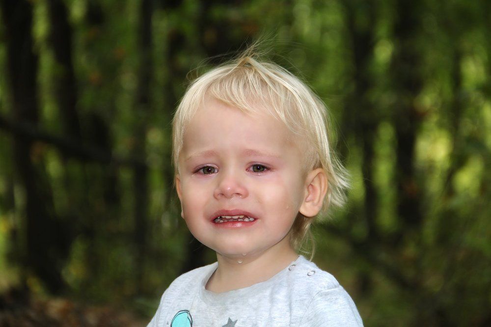 Photograph by Жукова Галина