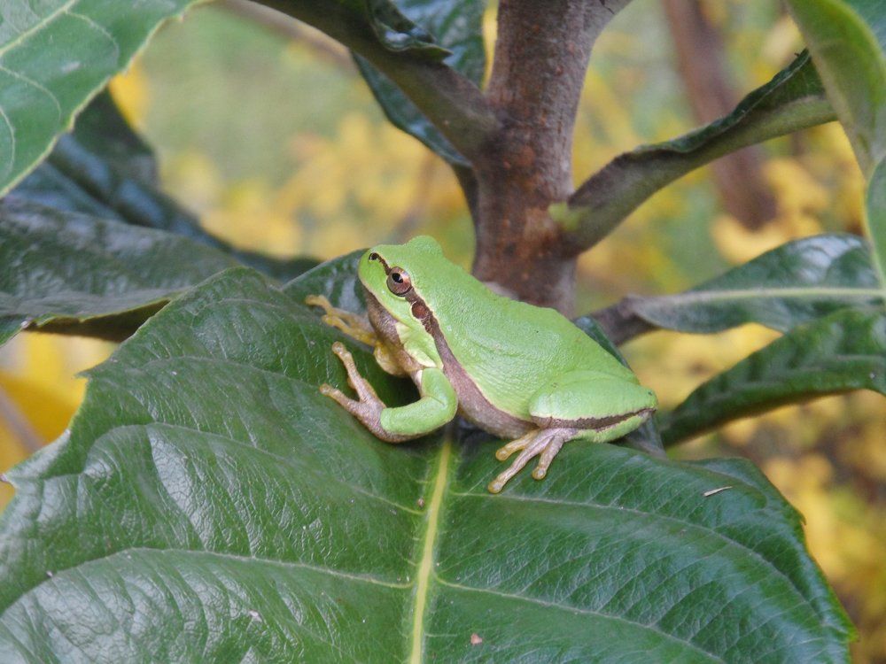 Photograph by Ирина Корнева