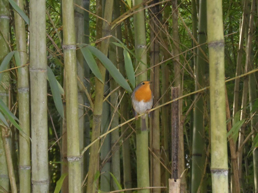 Photograph by Ирина Корнева