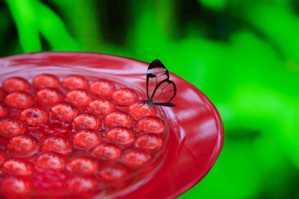 На сладенькое потянуло