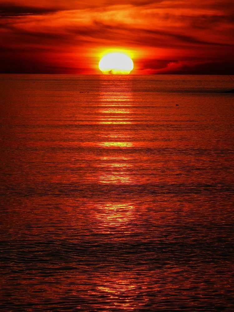 Всевидящее Око!