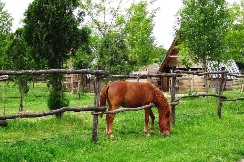 Photograph by Марина Раткун