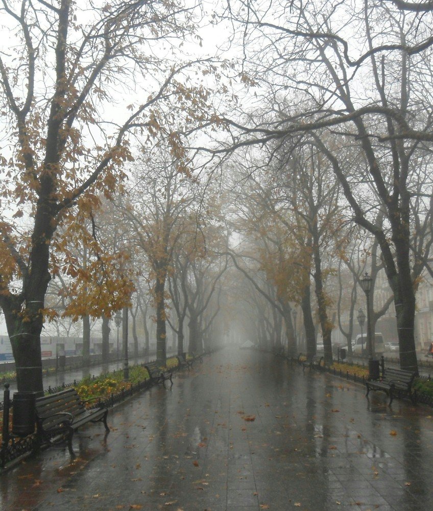 Foggy day on boulevard
