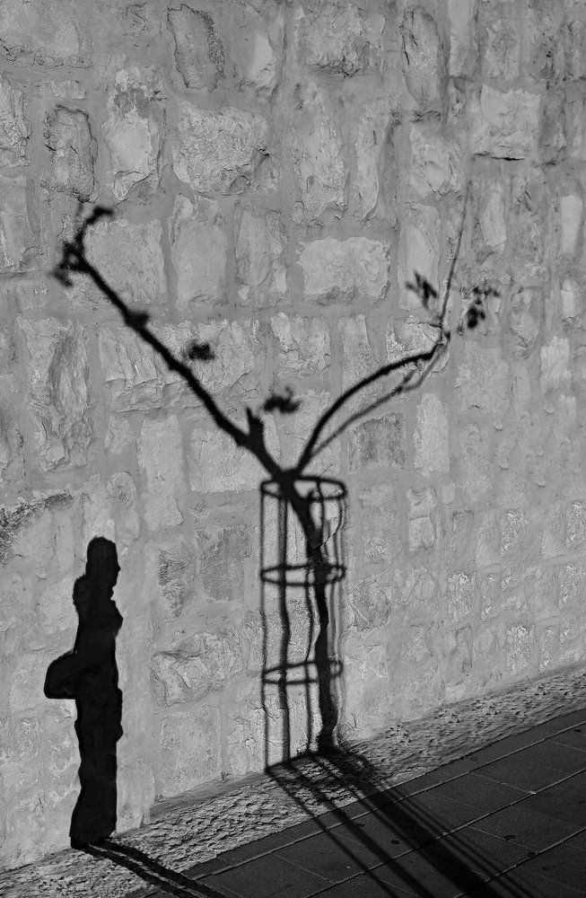 Солнечное грффити...