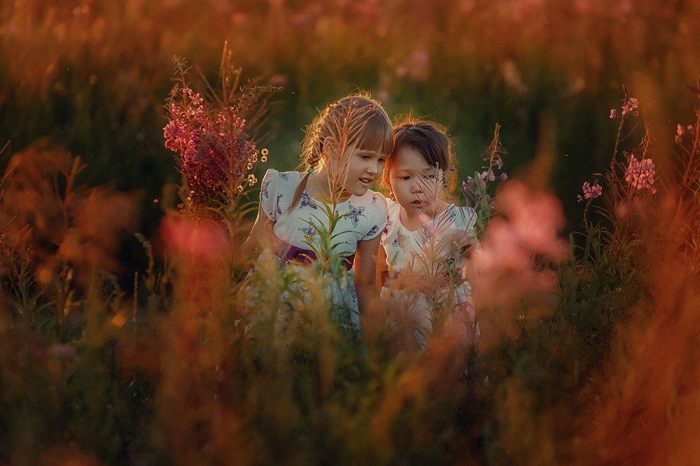 Подружки и Иван-чай