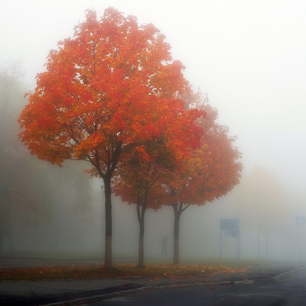 Осенняя акварель