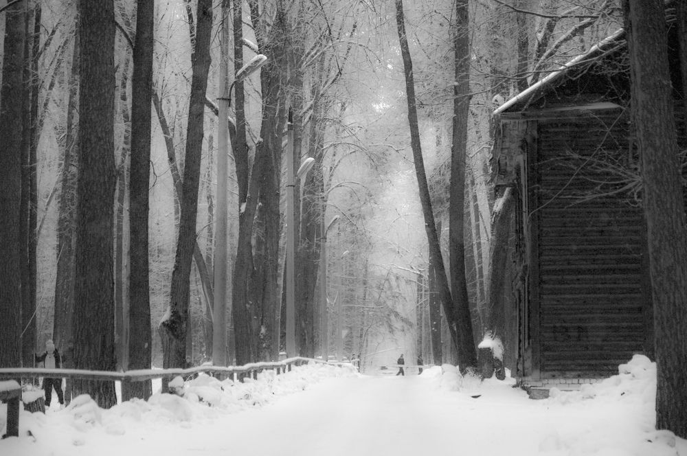 Зимний отдых.