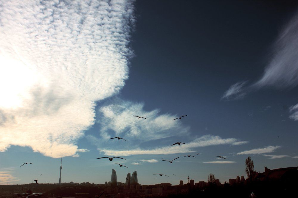 Photograph by Nargiz