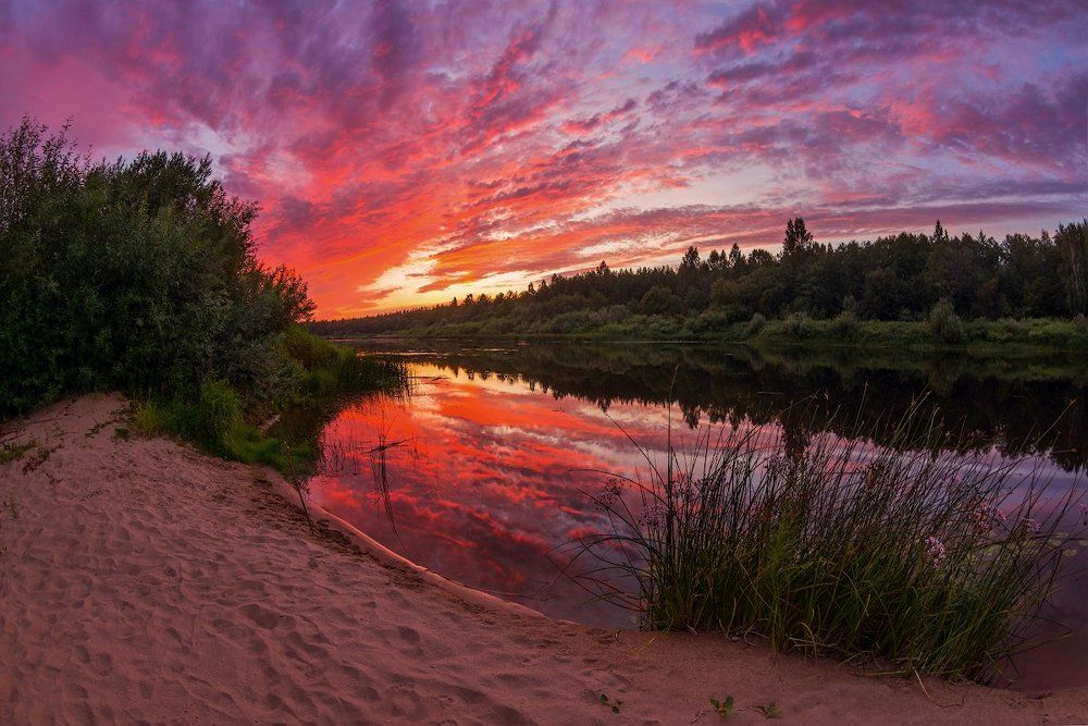 этюд в багровых тонах ))