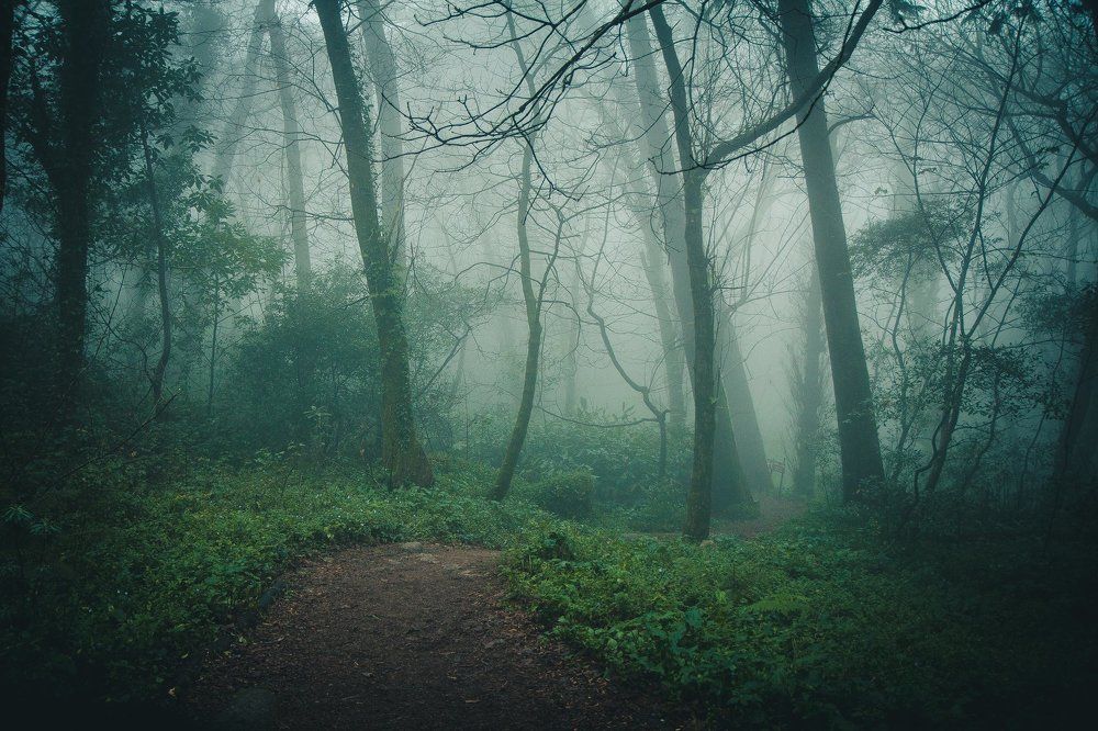 Photograph by Марина Ганина