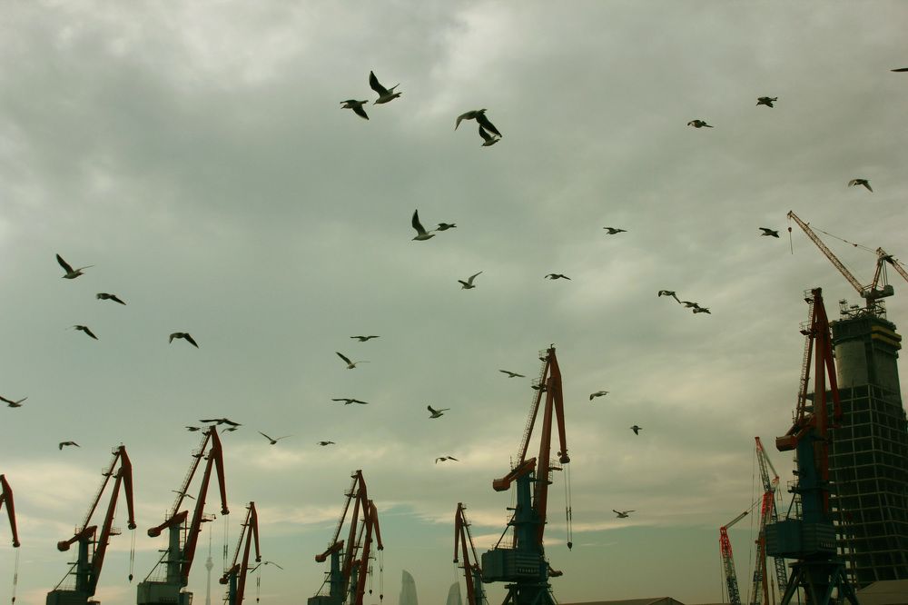 Photograph by Viktoriya