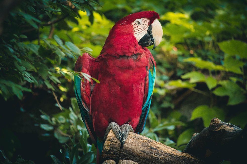 Photograph by Марина Ганина