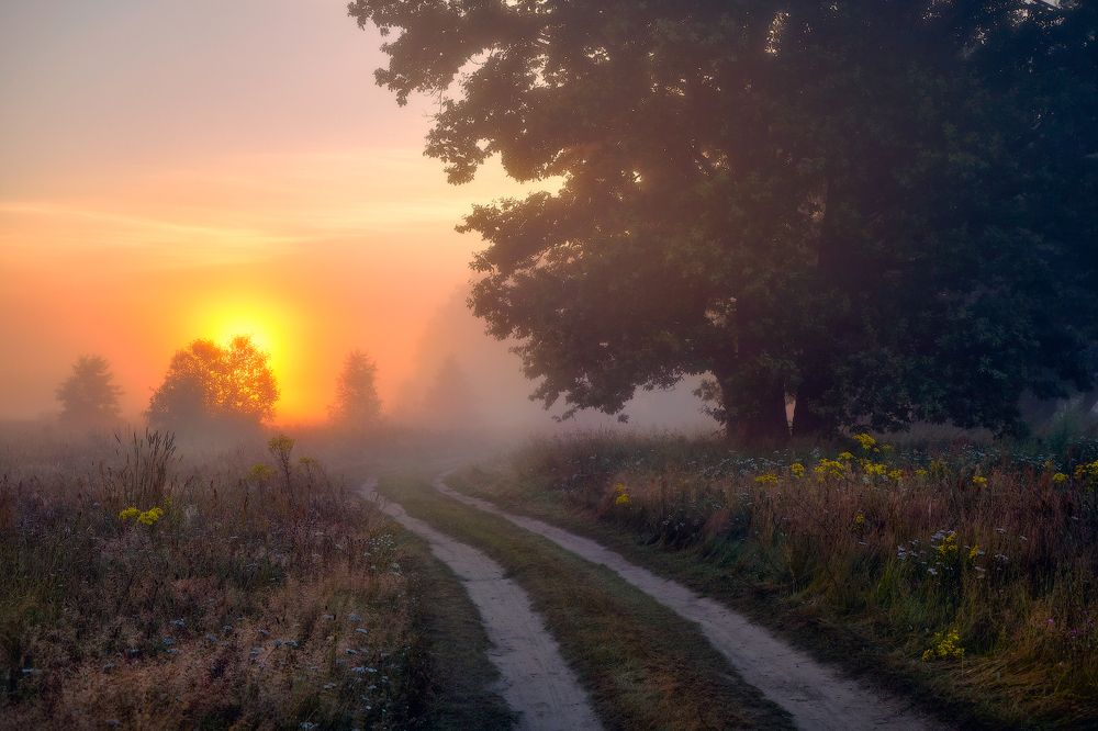 По востоку пышет зарево...©