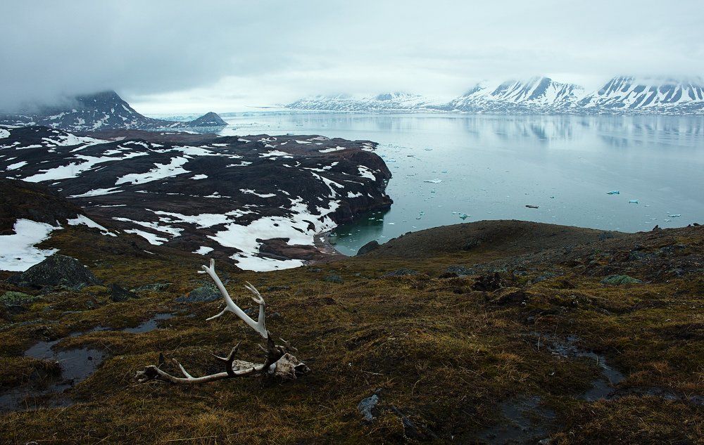 Там, на неизведанных дорожках...