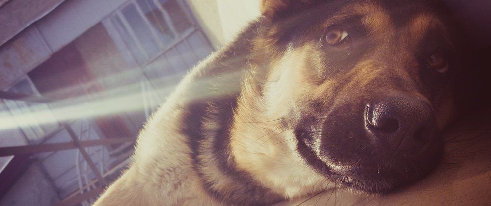 Возьми меня!!!