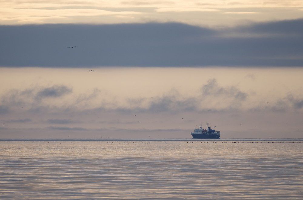 Одинокий странник