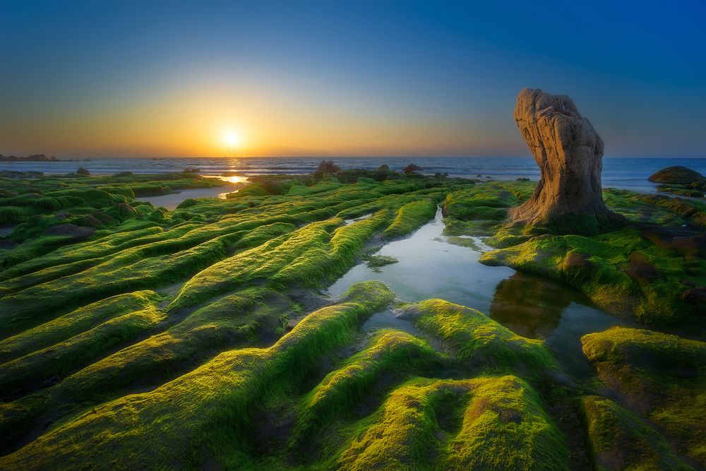 Stone turtle waiting sunrise
