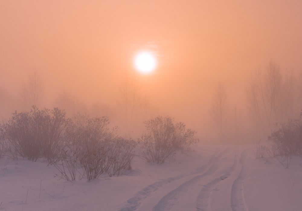 В туманной тишине