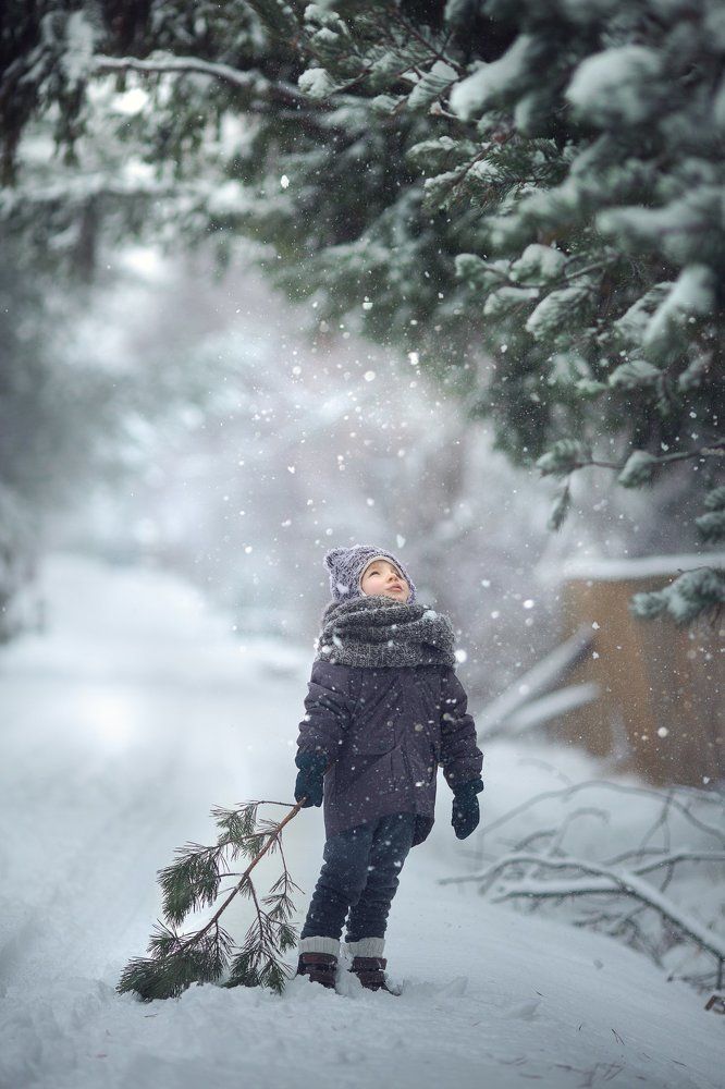 Фотография автора Александра Черемохина