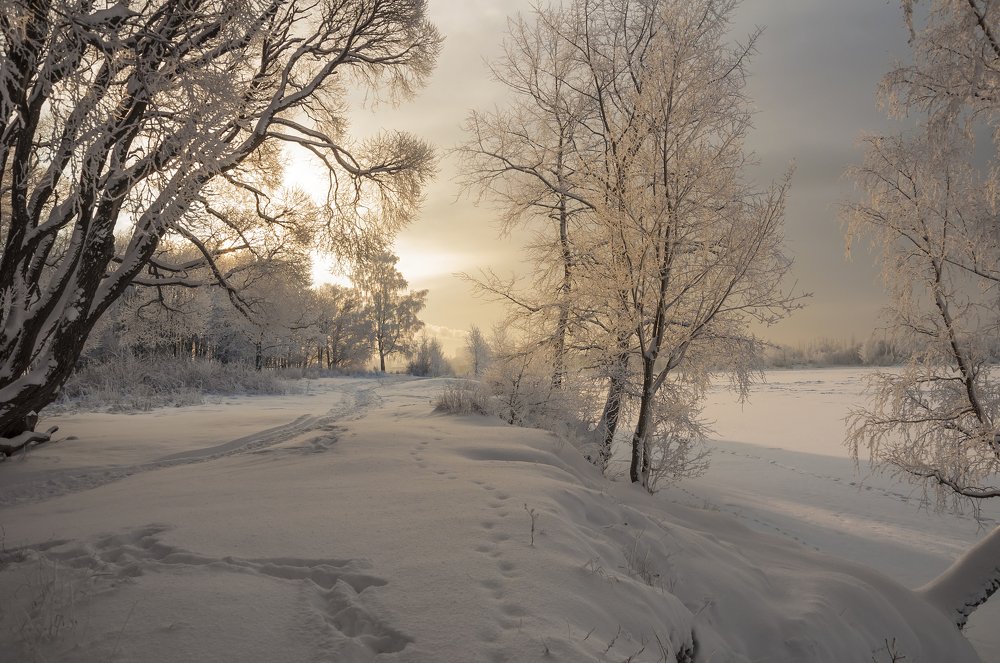 Photograph by Зоя Куренкова