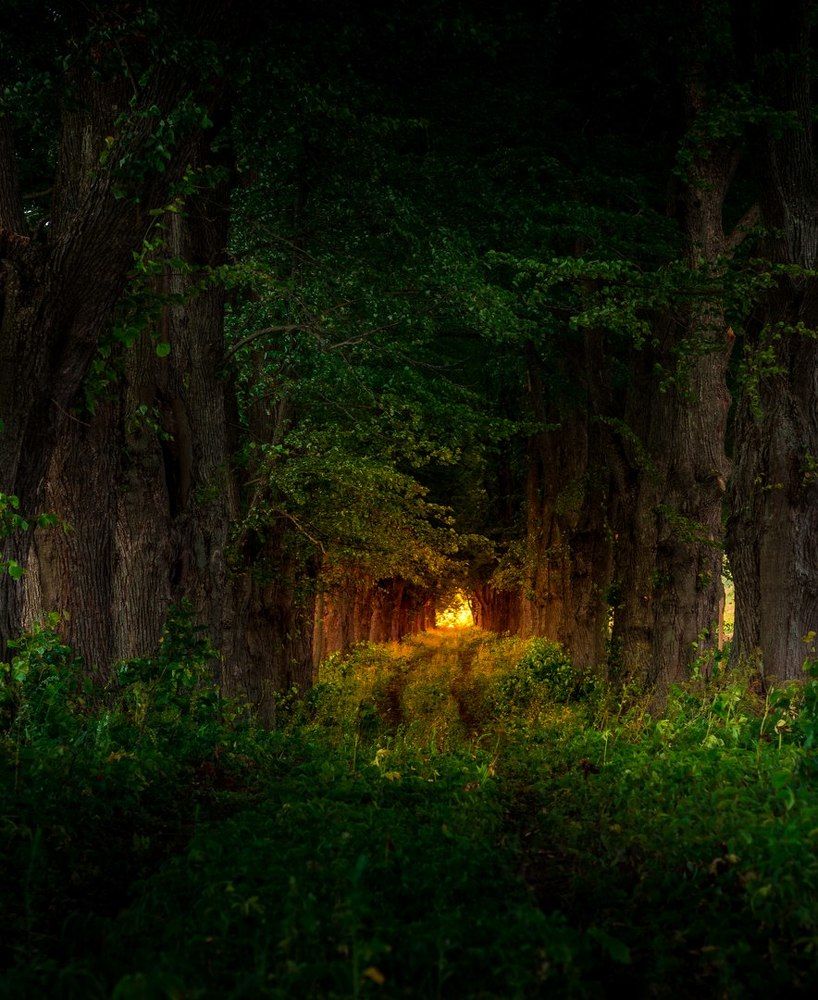 Photograph by Александр Путило